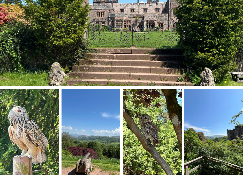 A Trip to Muncaster Castle